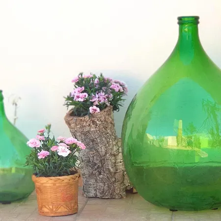 Cantina Marongiu-2
